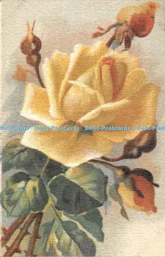 R361914 Rosen Proprieta artistica riservata 1 006 1 F L M