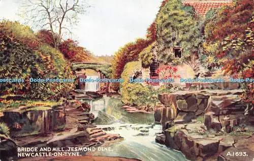 R365152 Newcastle on Tyne Bridge and Mill Jesmond Dene Valentine Art Farbe G W