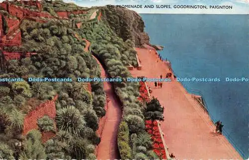 R365175 Paignton The Promenade and Slopes Goodrington Lansdowne Publishing 1959