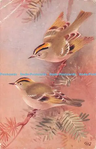 R361965 Goldcrest Regulus Regulurs The Golden crested Wren R S Series 1949