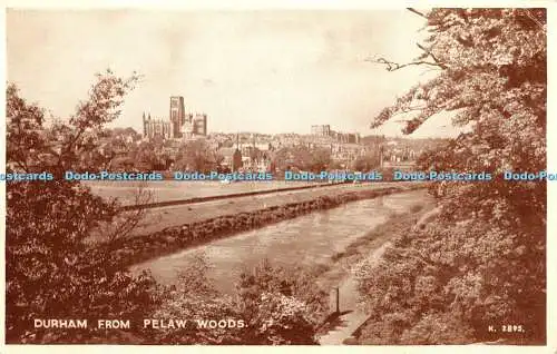 R365197 Durham From Pelaw Woods Valentine Phototype 1955