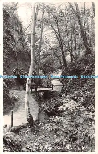 R366765 I W Shanklin In the Chine Nigh 1953