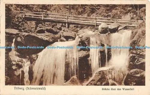 R370283 Triberg Schwarzwald Brücke uber den Wasserfall r 39471 L Schonenberger