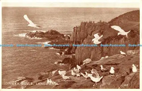 R36500 Land End Sea Gulls Mr H T James Lands End 1953