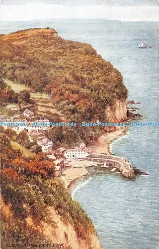 R368623 Clovelly von Hobby Drive Salmon 4170