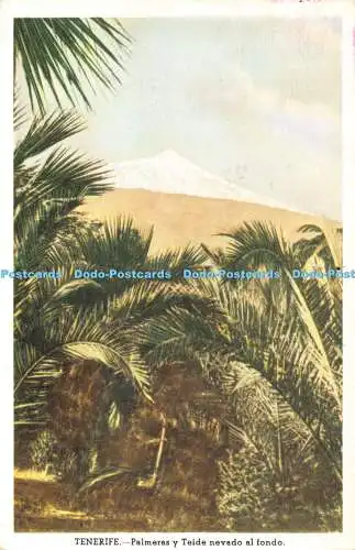 R367057 Tenerife Palmeras y Teide nevado al fondo
