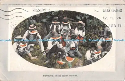 R365606 Bermuda These Water Melons J H Bradley 1917