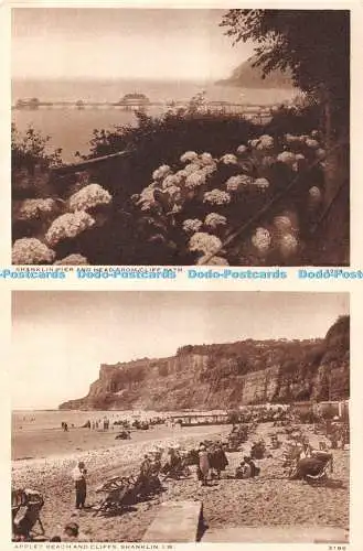 R370801 Shanklin Pier und Kopf von Cliff Path Appley Beach und Cliffs W J Nigh