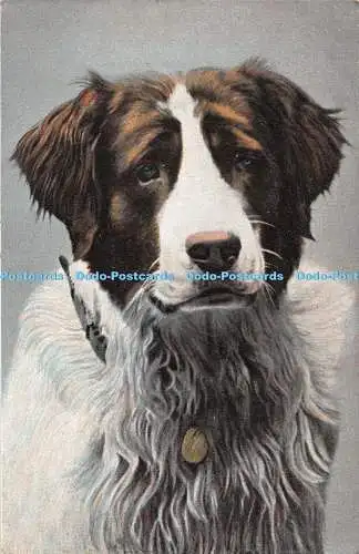 R370845 Hund H Guggenheim Nr 16495 Postkarte