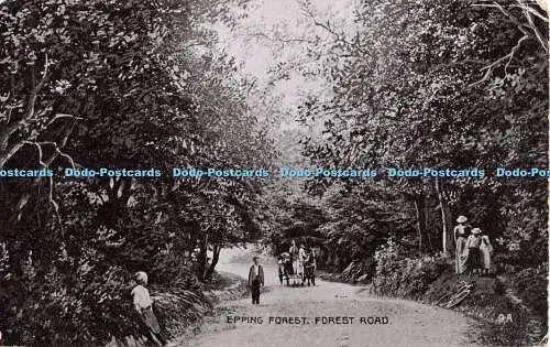 R370943 Epping Forest Forest Road G D und D The Star Series 1907