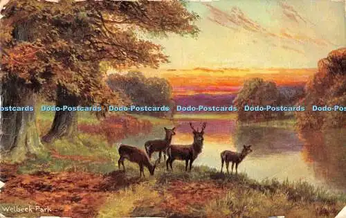 R369355 Welbeck Park S Hildesheimer The Dukeries Series No 5525 Fac Simile Serie