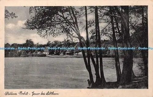 R371125 Waldsee Probst Jesar bei Lubtheen W Meinert 1943