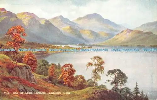 R371231 The Head of Loch Lomond Looking North Valentine Art Farbe Edward H Thom