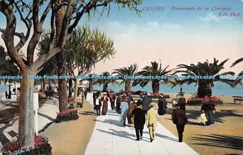 R369641 233 Cannes Promenade de la Croisette ND Phot A Sauvaigo Nice