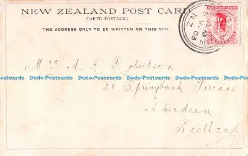 R371431 Dunedin aus Herriot Row Postkarte 1903