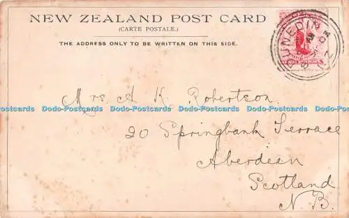 R371432 Dunedin High St Postkarte 1903