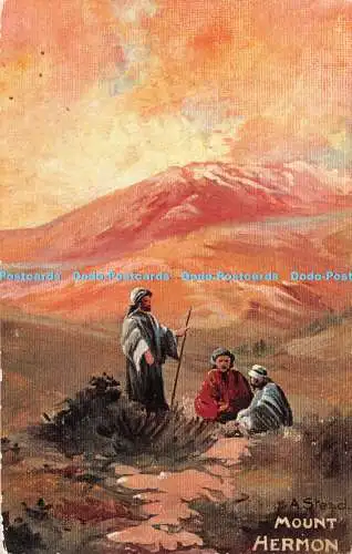 R368127 Mount Hermon The Palatine Pictorial Company Palestine Series A Stead