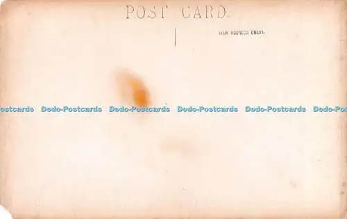 R371460 Park mit Pfauen Postkarte