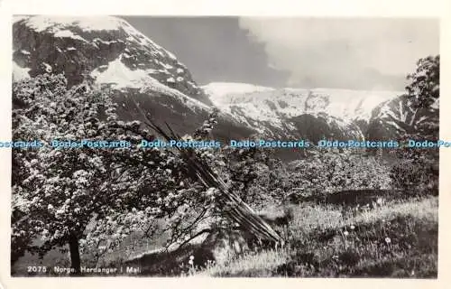 R371682 Norge Hardanger i Mai Normanns Kunstforlag A S