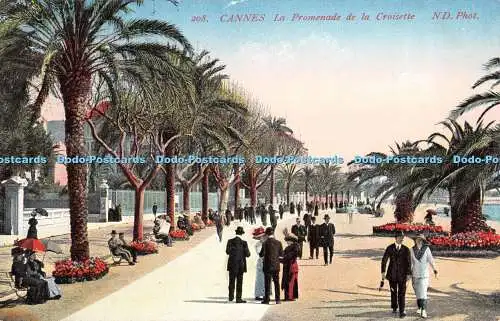 R370042 208 Cannes La Promenade de la Croisette ND Phot A Sauvaigo