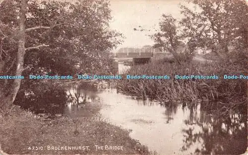 R371850 Brockenhurst The Bridge Photochrom Sepiatone Series