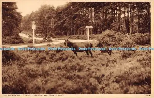 R370108 Die Bournemouth Road durch den New Forest 70136 Pferde Photochrom