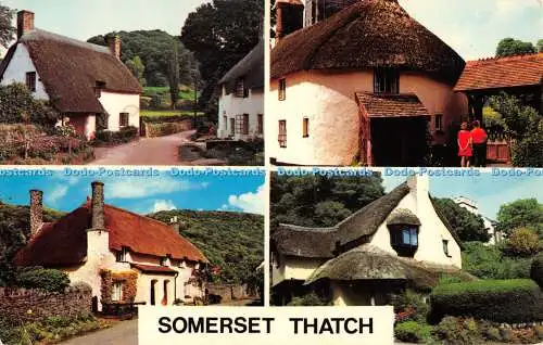 R370126 Somerset Thatch PLC6163 Precision Colourmaster International 1979 Multi