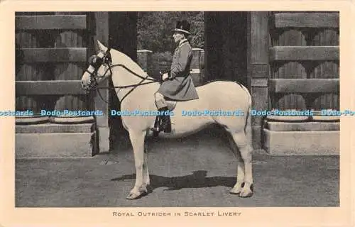 R371874 Royal Outrider in Scarlet Livery Buckingham Palace Tuck