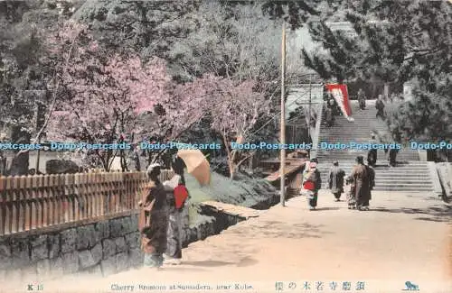 R371893 Cherry Brossom in Sumadera bei Kobe Postkarte