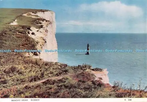 D100182 Beachy Head. Sussex. C 238. Richter