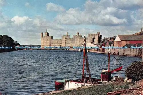 D100184 Caernarvon Castle. Nordwales. Dixon