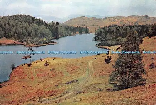 D100190 Tarn Hows in der Nähe von Coniston und Hawkshead. Lancashire. Dixon