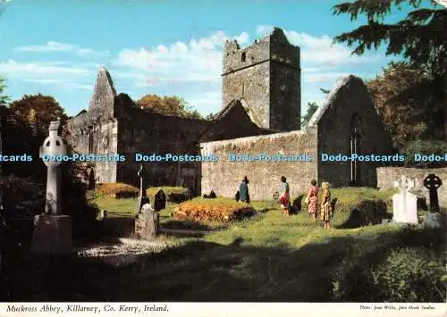 D100194 Muckross Abbey. Killarney. Co. Kerry. Irland. Joan Willis. Hinde. 1972