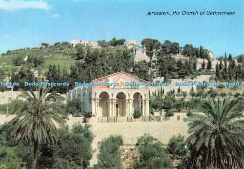 D096884 Jerusalem. Die Kirche von Gethsemane. Sternenkarten