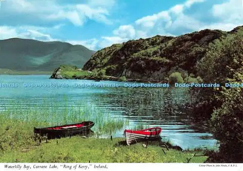 D100199 Waterlily Bay. Currane Lake. Ring of Kerry. Irland. Hinde. Nr. 2 242. W