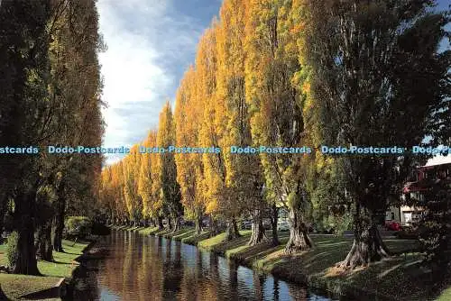 D098834 Neuseeland. Der Avon River wird von Herbstfarben flankiert. Wendet seinen Weg Thr