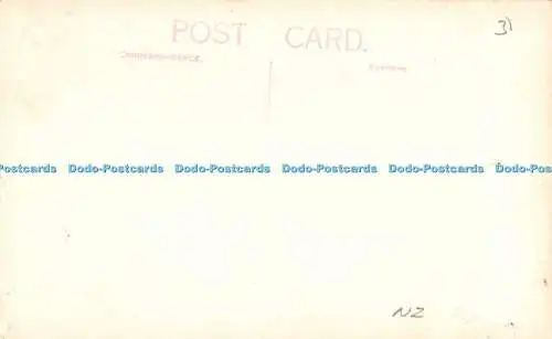 R371963 N Z Bullerschlucht Postkarte