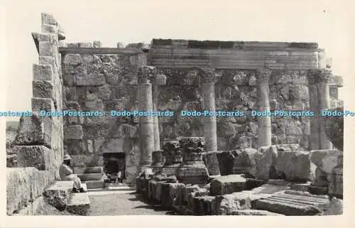 R370225 Capharnaum Mimosa Dormitio Jerusalem Kommissariat des Heiligen Landes Washi