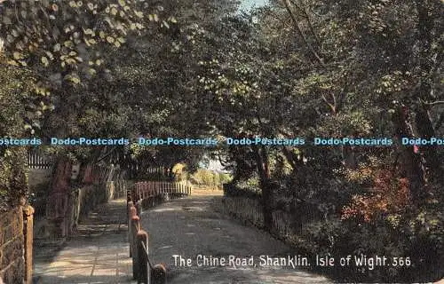 R371988 Isle of Wight Shanklin The chine Road The Ideal Series 1909