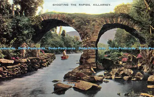 R363951 Shooting The rapids. Killarney. 27073. Valentine and Sons