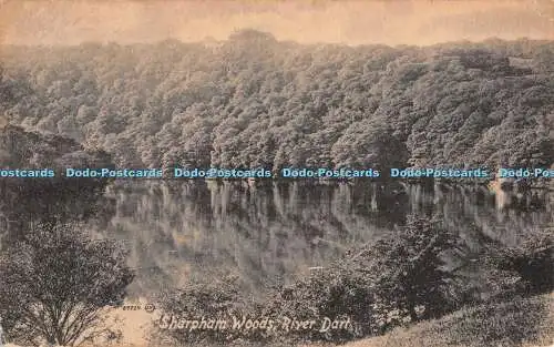 R374095 07729 Sharpham Woods River Dart Valentines Series