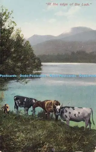 R373022 Am Rande des Lochs Raphael Tuck and Sons