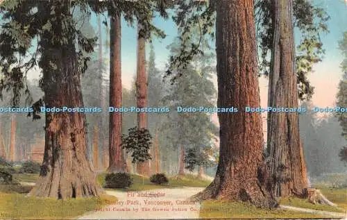 R376322 Kanada Vancouver Tanne und Zeder im Stanley Park The Gowen Sutton Co