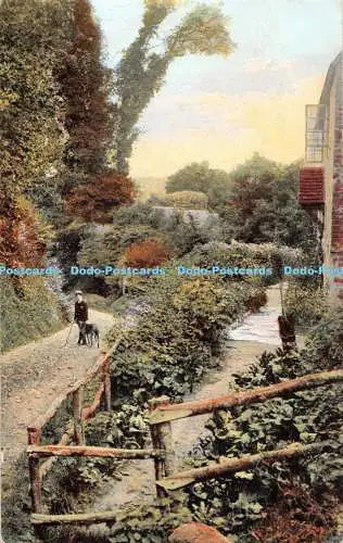 R374979 Picturesque Sussex A County Lane W G Pollard The Cranbourne Series 1910