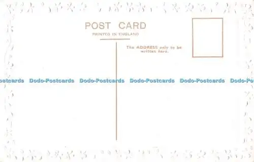 R378227 Viel Spaß Geburtstag Postkarte