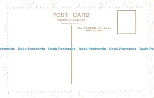 R378228 Viel Spaß Geburtstag Postkarte