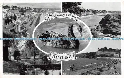 R376592 Grüße von Dawlish Einer der seltenen schwarzen Schwäne von Cliff Walk Multi