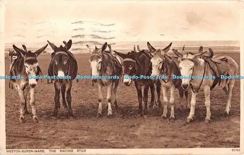 R376599 Weston Super Mare The Racing Stud Photochrom