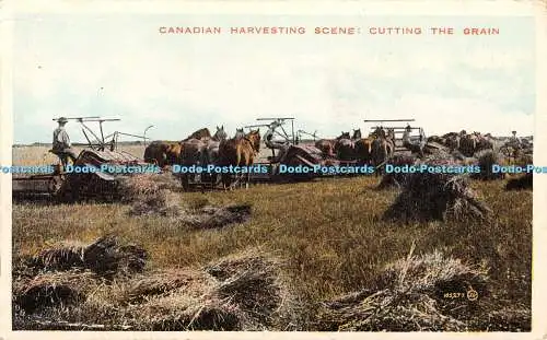 R376604 Canadian Harvesting Scene Cutting the Grain Valentines Series