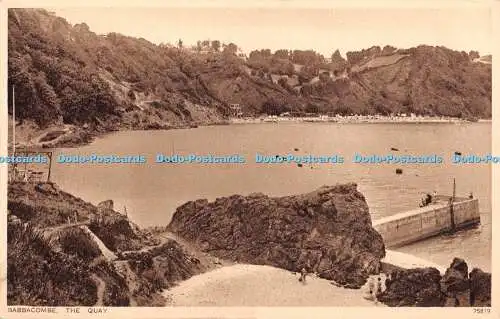 R376618 Babbacombe The Quay Photochrom